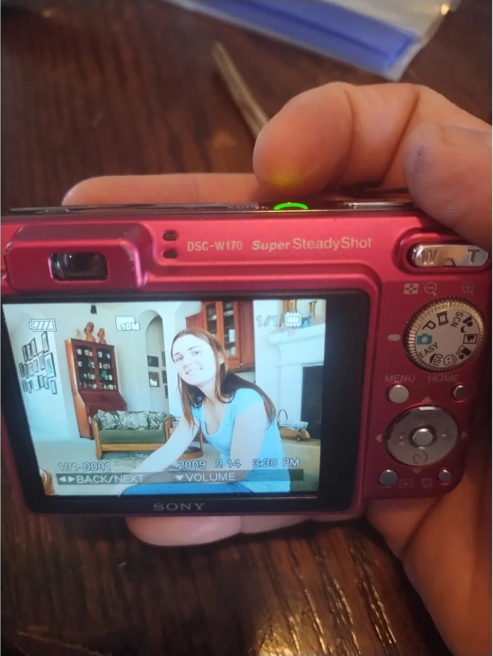 Sony CyberShot DSC-W170 10.1MP 5x Digital Camera - Red